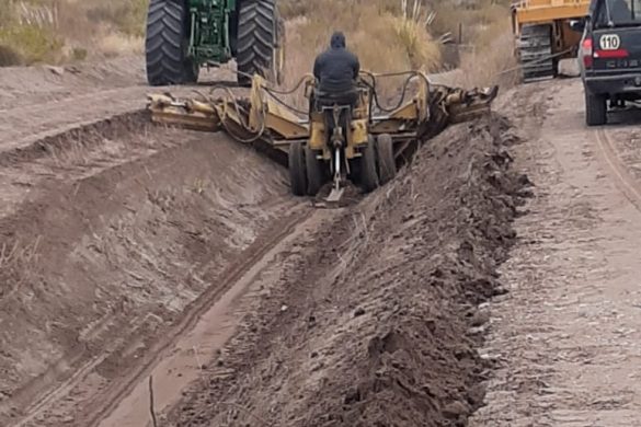 Realizan trabajos en la zona bajo riego del Sauzal, 25 de Mayo y Colonia Chica