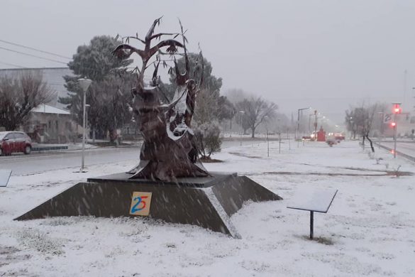 Nevó en 25 de Mayo y la zona ( galería de fotos y video)