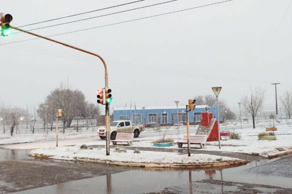 Nevó en 25 de Mayo y la zona ( galería de fotos y video)