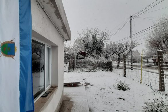 Nevó en 25 de Mayo y la zona ( galería de fotos y video)