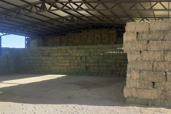 Emprendimiento productivo ARCEO en 25 de Mayo