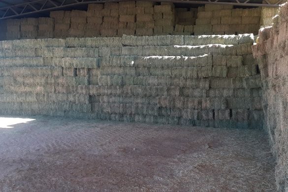 Emprendimiento productivo ARCEO en 25 de Mayo
