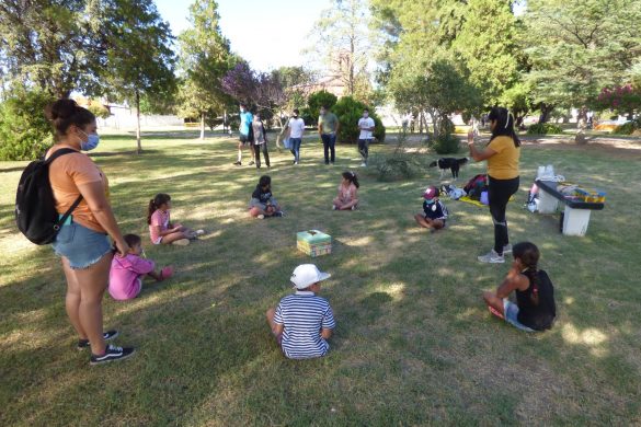 Telén y Carro Quemado: el Pro Vida en espacios públicos al aire libre
