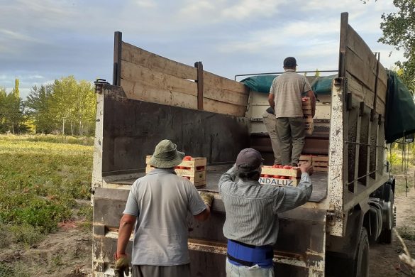 25 de Mayo: el EPRC acompañó logísticamente el trabajo de productores