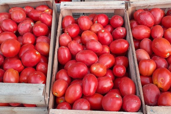 25 de Mayo: el EPRC acompañó logísticamente el trabajo de productores