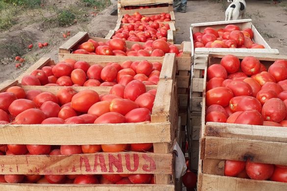 25 de Mayo: el EPRC acompañó logísticamente el trabajo de productores