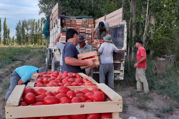 25 de Mayo: el EPRC acompañó logísticamente el trabajo de productores