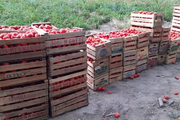 25 de Mayo: el EPRC acompañó logísticamente el trabajo de productores
