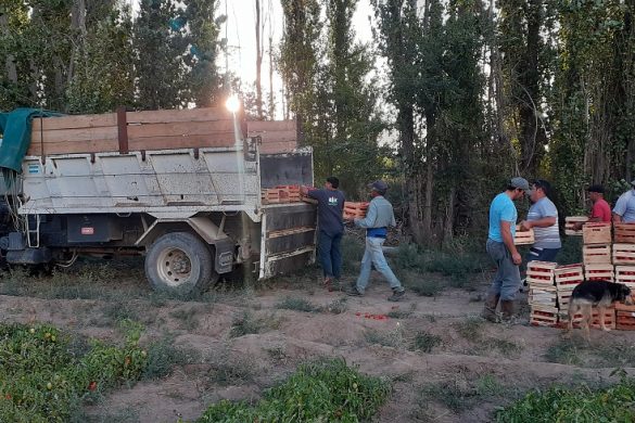 25 de Mayo: el EPRC acompañó logísticamente el trabajo de productores