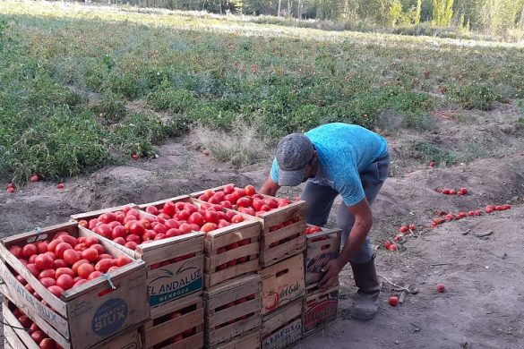 25 de Mayo: el EPRC acompañó logísticamente el trabajo de productores