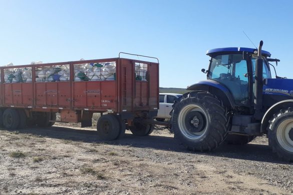 Se recolectaron más de 3000 envases vacíos de fitosanitarios