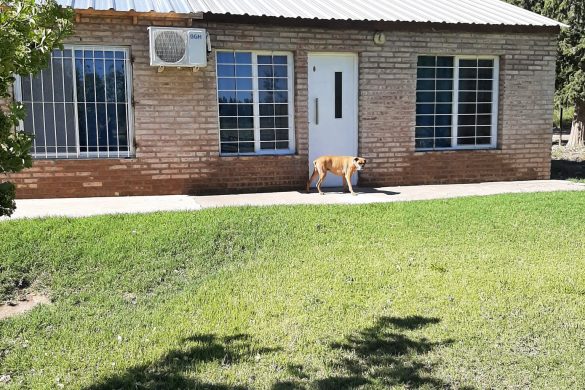 «Los Perales» Alojamiento por día en 25 de Mayo, La Pampa