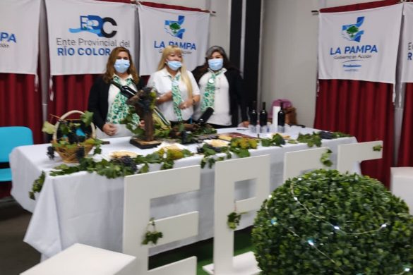 Degustación de vinos pampeanos en South American Rally Race