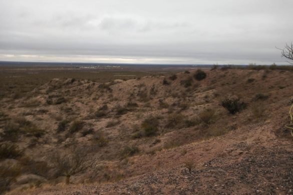 Cultura acompaña el desarrollo del Rincón Cretácico Pampa 25