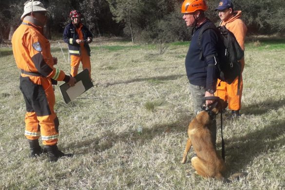 Policía y Bomberos lograron certificación nacional en búsqueda con canes