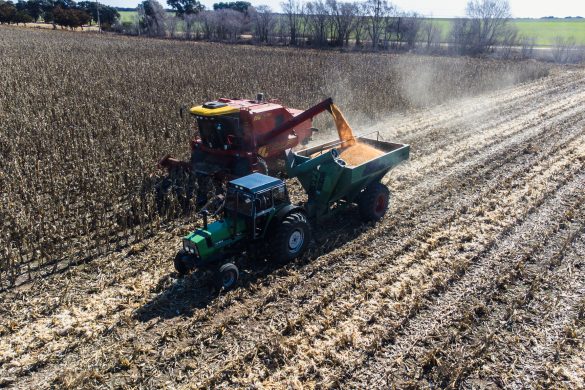 Crecieron las exportaciones de La Pampa en el primer semestre de 2023