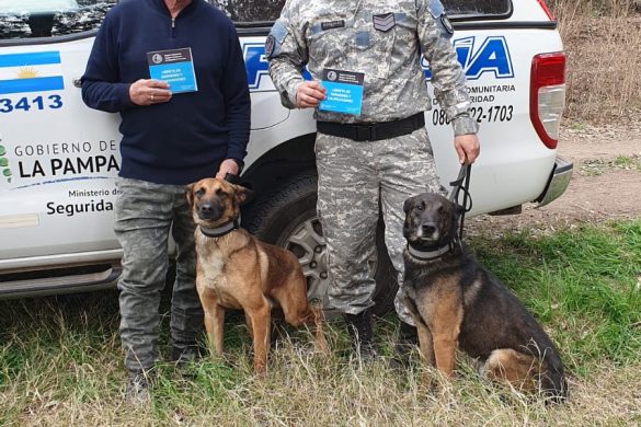 Policía y Bomberos lograron certificación nacional en búsqueda con canes