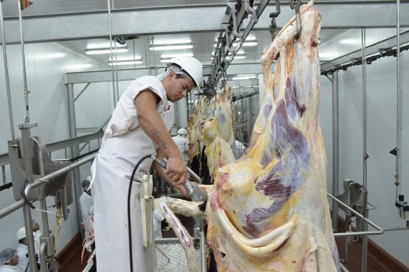 Misión comercial de frigoríficos pampeanos busca ampliar exportaciones a China