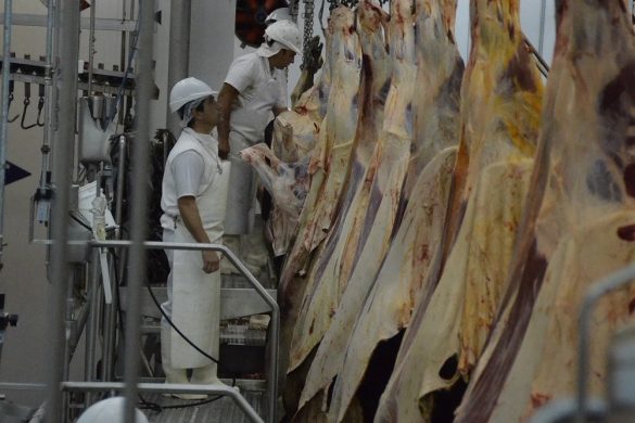 Misión comercial de frigoríficos pampeanos busca ampliar exportaciones a China