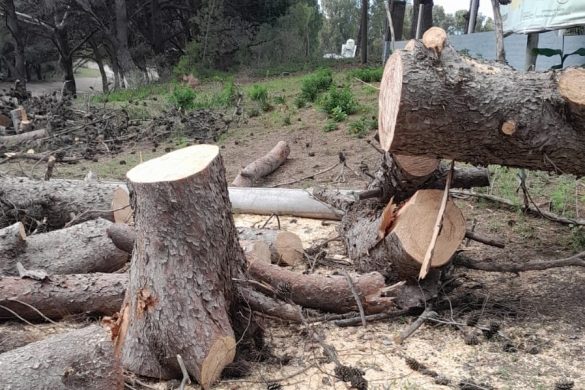 Evento climático del sábado afectó el complejo pampeano de Pehuen Co