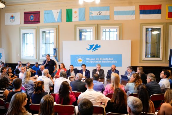 Reunión de trabajo de  Diputados/as, senadores/as y gobernadores de Unión por la Patria