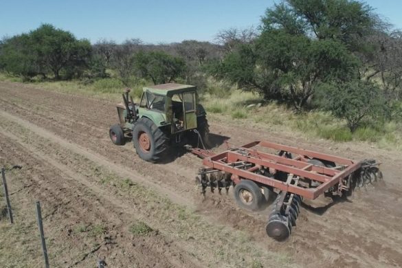 Picadas cortafuegos: fuerte inversión de La Pampa en resguardo del ambiente y bienes rurales