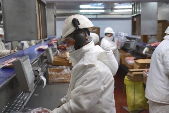 ANUARIO 2023/ I-COMEX: La Pampa celebra logros en comercio exterior e inversiones