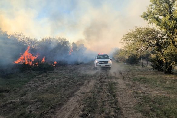 Picadas cortafuegos: fuerte inversión de La Pampa en resguardo del ambiente y bienes rurales