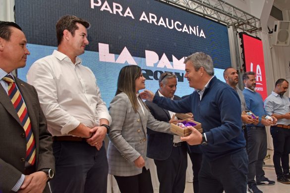Los Juegos Para Araucanía “La Pampa 2024” ya se viven
