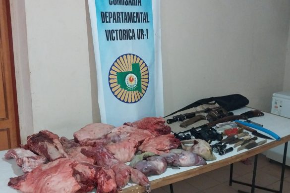 Operativos policiales rurales: secuestran armas y decomisan carne de caza ilegal
