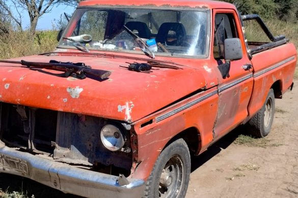 Operativos policiales rurales: secuestran armas y decomisan carne de caza ilegal