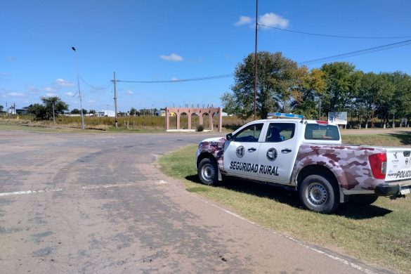 Operativos policiales rurales: secuestran armas y decomisan carne de caza ilegal